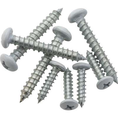 WHITE CLOSET SCREWS