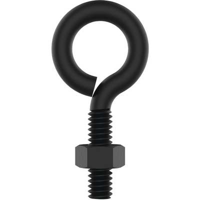 1/4"X2" EYE BOLT W/NUT