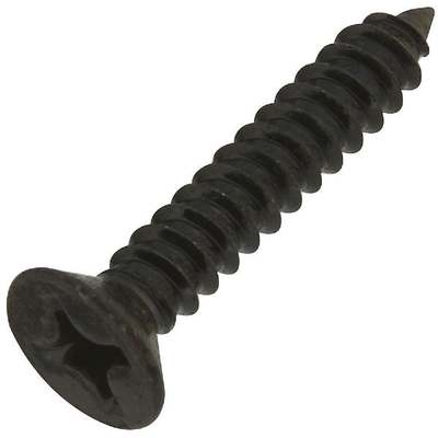 #12 Blk Wood Screw