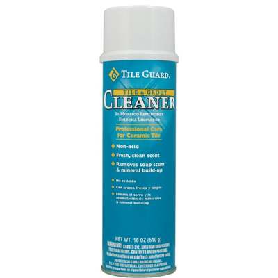 CLEANER GROUT/TILE 18OZ AERO