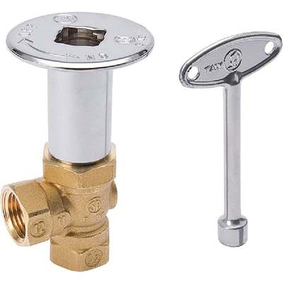 1/2"ANGCP LOGLIGHT VALVE