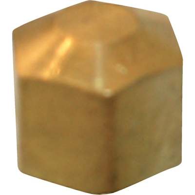 3/8 BRASS COMP CAP