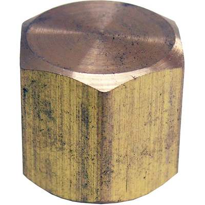 1/8FIP BRASS CAP