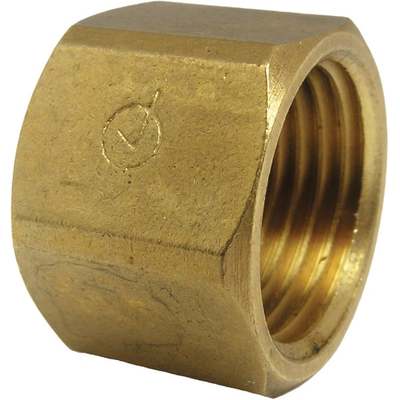 1/2FIP BRASS CAP