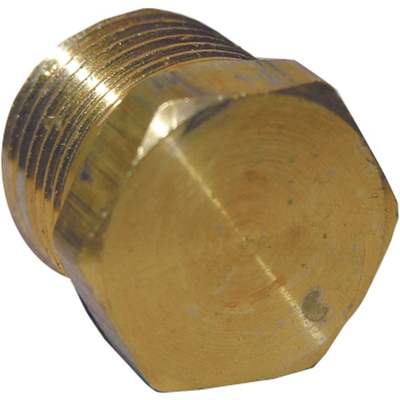 1/4MIP BRASS HEX PLUG