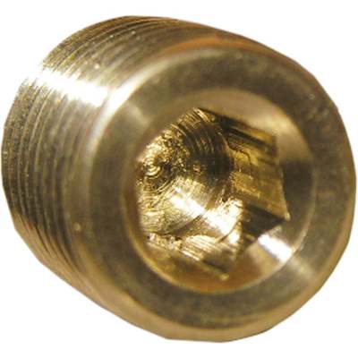 1/8MIP BRASS CS PLUG