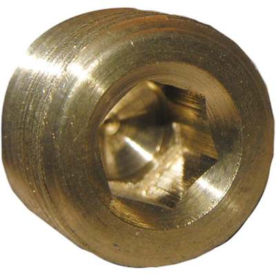 1/4MIP BRASS CS PLUG