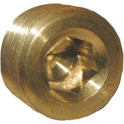 3/8MIP BRASS CS PLUG