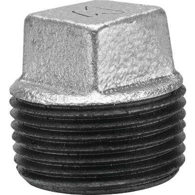 1/4 "GALV PLUG