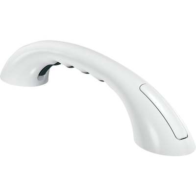 Moen Home Care 9 In. Concealed Screw Grab Bar with Rubber Pad, Glacier