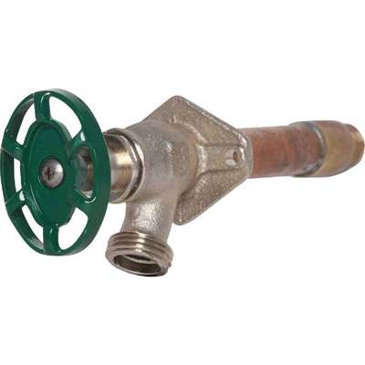 1/2FX3/4M 10" FF HYDRANT