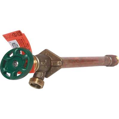 1/2FX3/4M 12" FF HYDRANT