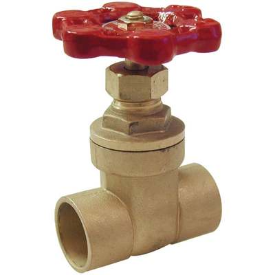 1" SWT GATE VALVE