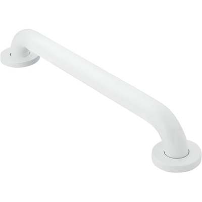 Wht 24" Conceal Grab Bar