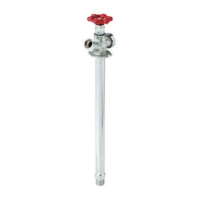 12 ANTI-SIPHON F/F WALL HYDRANT