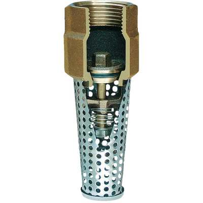 Simmons 1 In. Silicon Bronze Foot Valve, Lead Free