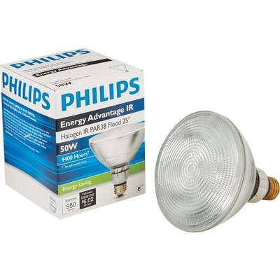 50W PAR HALOGEN XL BULB