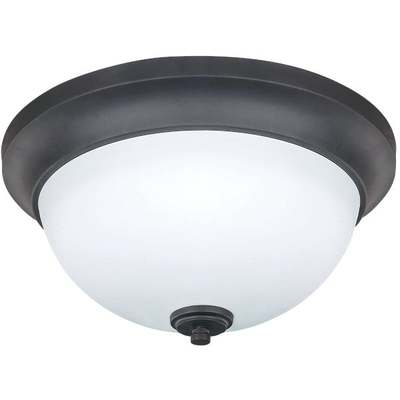 2BLB ORB CEILING FIXTURE