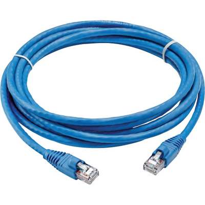 BLUE 3FT CAT6 CABLE