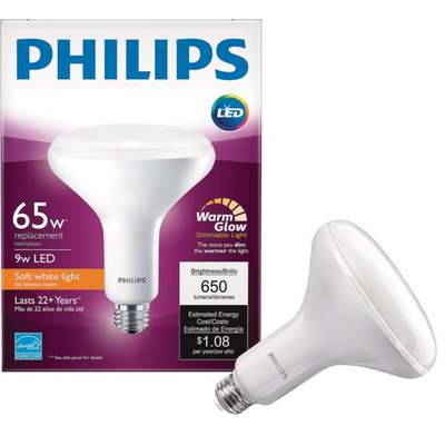 65W BR40 MED WG LED BULB