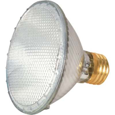 39W PAR30 SN SPOT BULB