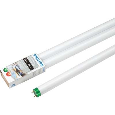 2PK 32W 4' T8 CW FL TUBE