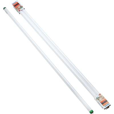 2PK 32W 4' T8 KB FL TUBE