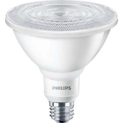 12W PAR38 LED FLDLT BULB