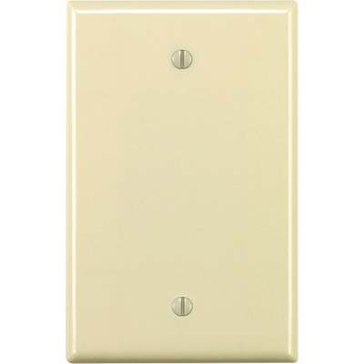 LT ALM BLANK WALL PLATE