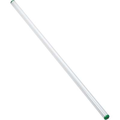 2PK 40W 48" DL T12 FLUOR