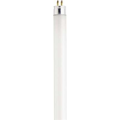 F13T5 21" Cool White Fluorescent