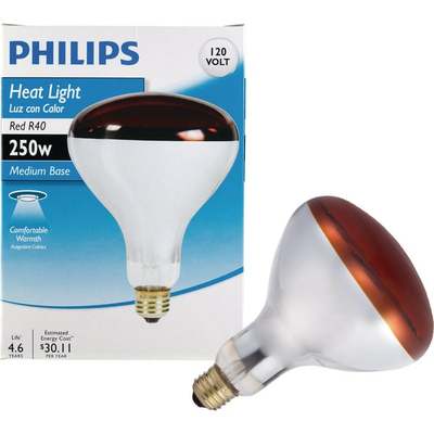250W R40 HEAT LAMP BULB
