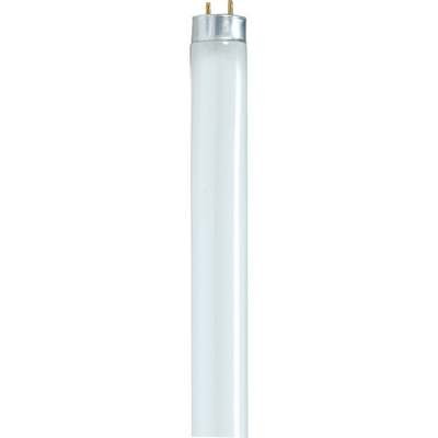 32W T8 FLUOR NTLWT BULB