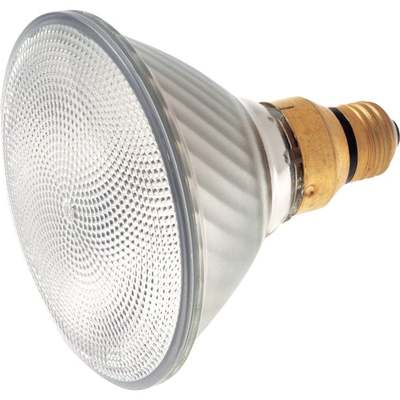 60W PAR38 30K HAL BULB