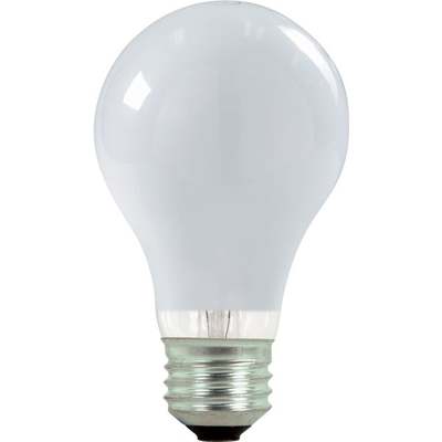 2PK 43W A19 29K HAL BULB