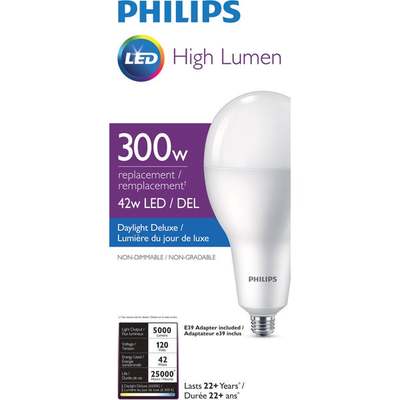 LED A40 300W DX BULB