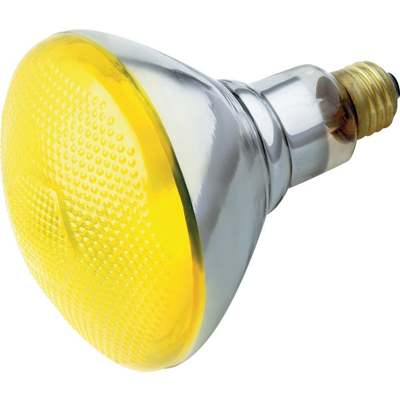 *BULB 85PAR/FL/BG***************