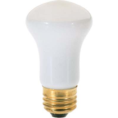 40W CLEAR R16 SPOT