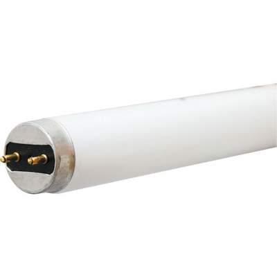 17W 24" T8 SW FLUOR TUBE