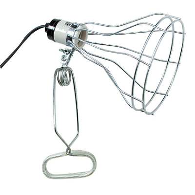 *WIRE GUARD/CLAMP LAMP
