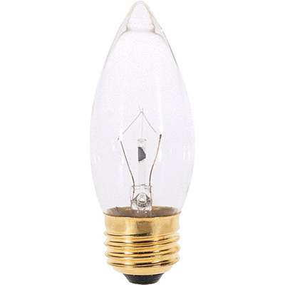 *25W FAN BULB