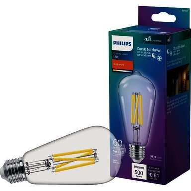 60W DSK2DWN ST19LED BULB