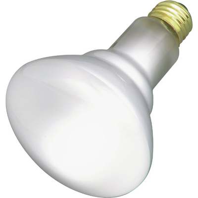 65W BR30 FLD REFLEC BULB