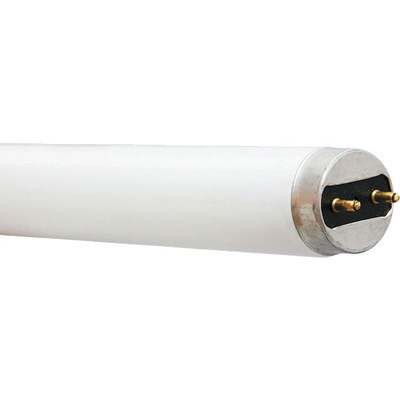 24PK 18W 24" T8 CW TUBE