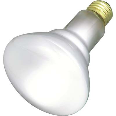 65W REFLECTOR FLOOD BULB