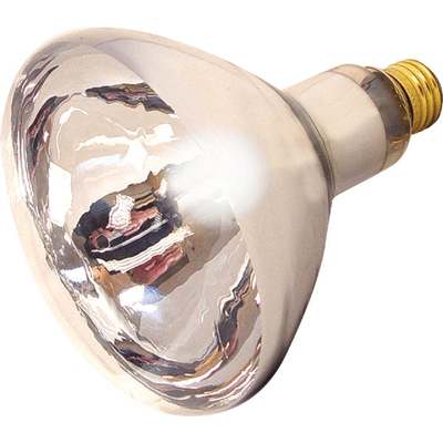 125w Heat/brooder Bulb