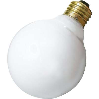 25W WHITE G25 501853