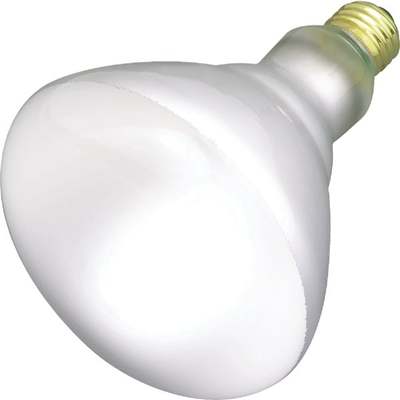 65W R40 FROST FLOOD BULB