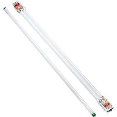 2PK 4' T8 BW FLUOR TUBE