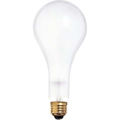 300 WATT FROST BULB